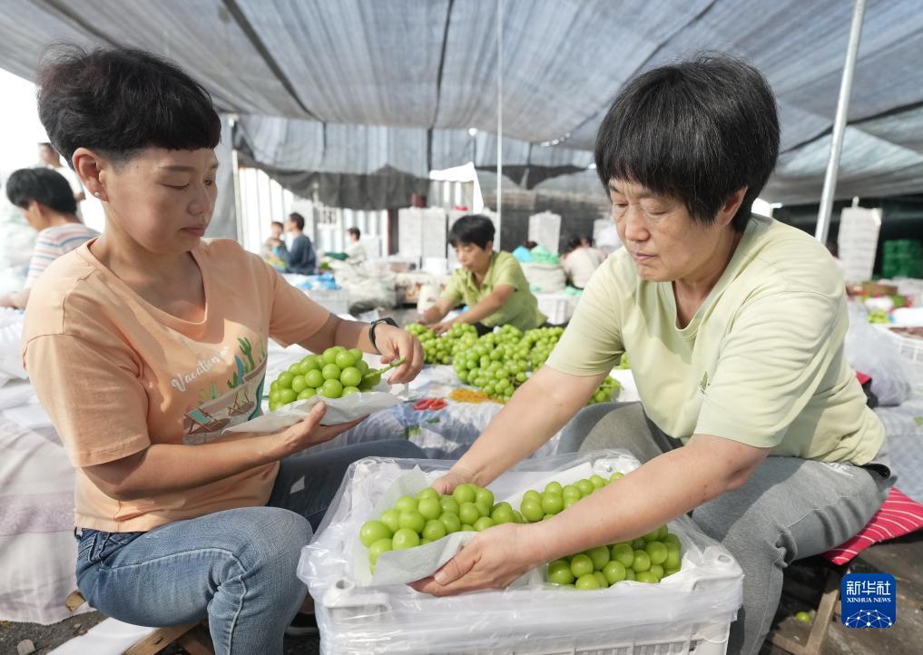 网上真人赌博公司